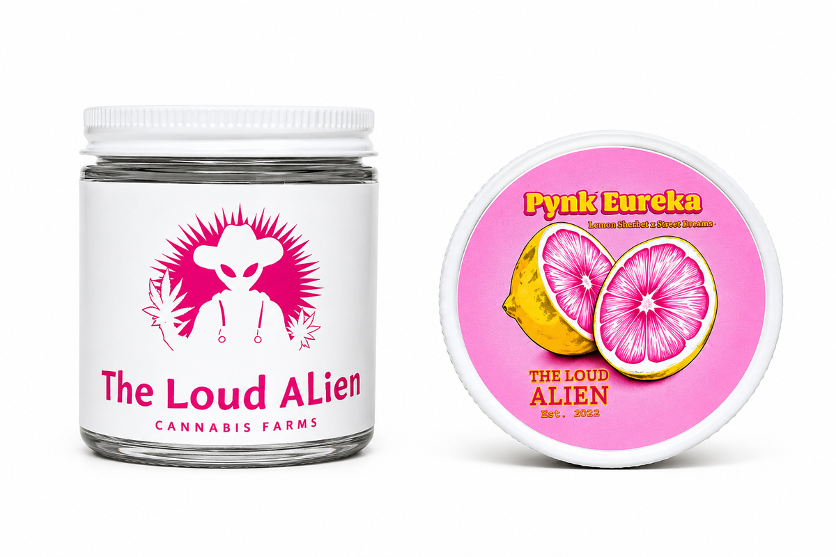 The Loud Alien - Pynk Eureka