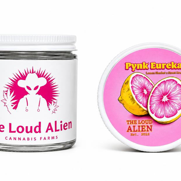 The Loud Alien - Pynk Eureka THCA