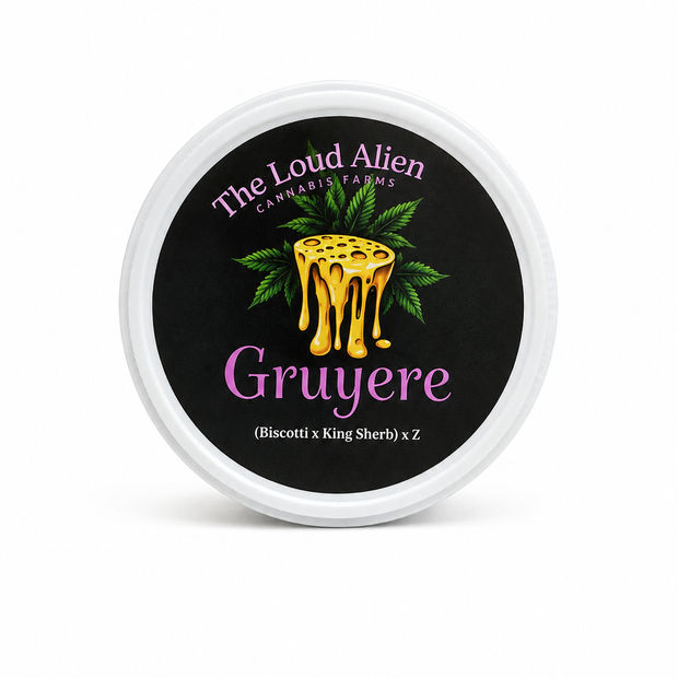 The Loud Alien - Gruyere THCA