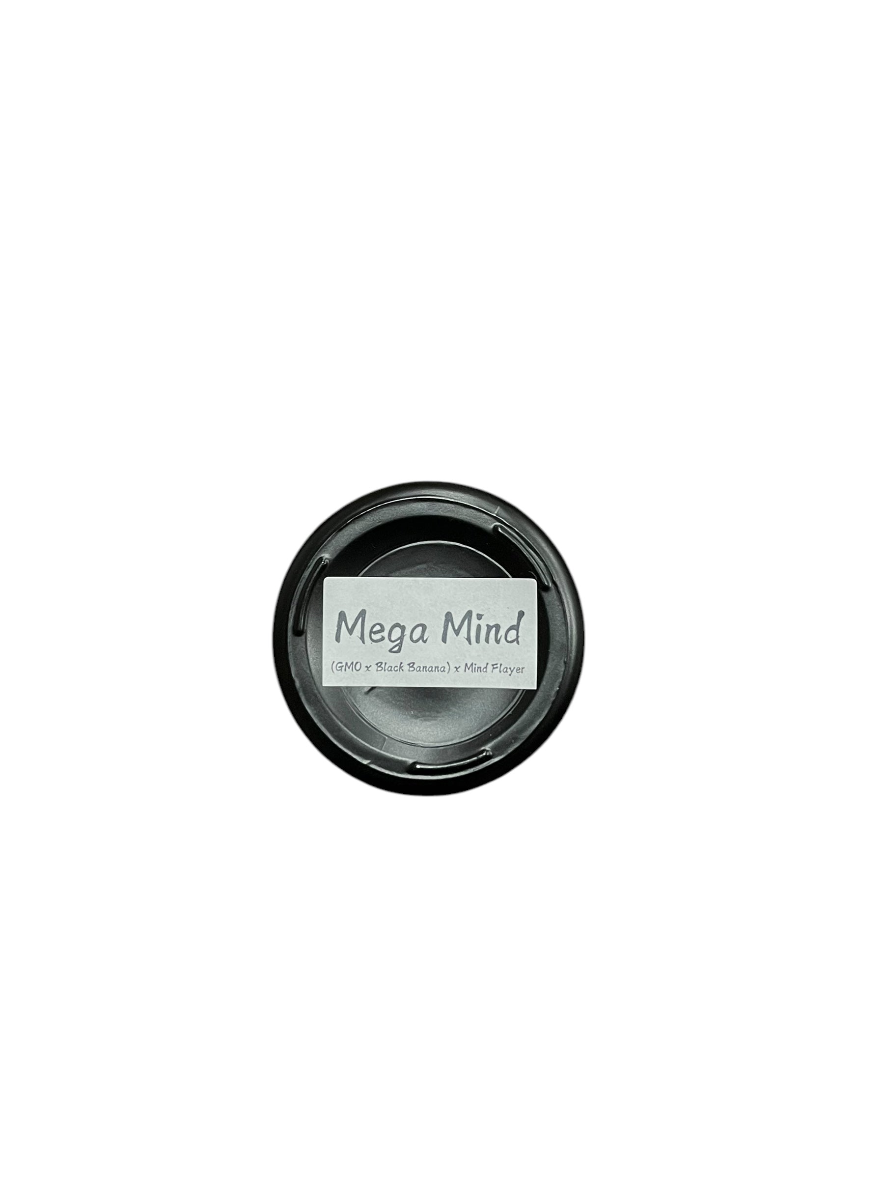 Meat & Potatoes - Mega Mind