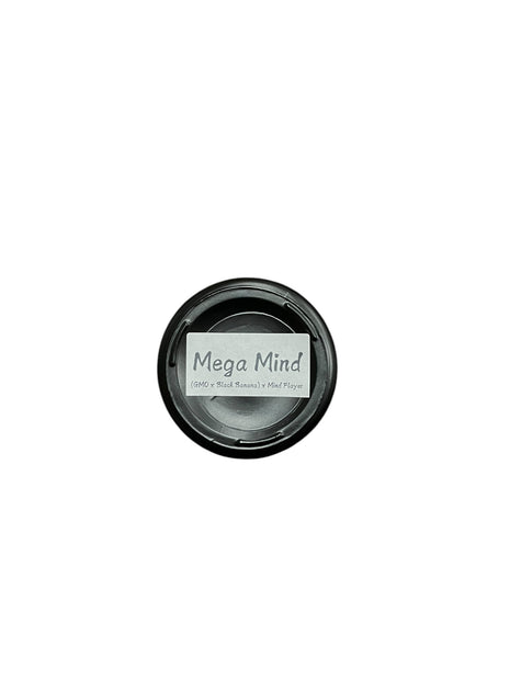 Meat & Potatoes - Mega Mind
