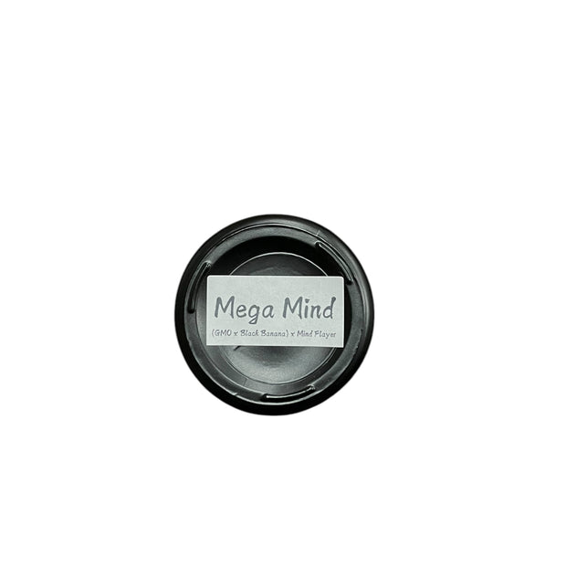 Meat & Potatoes - Mega Mind